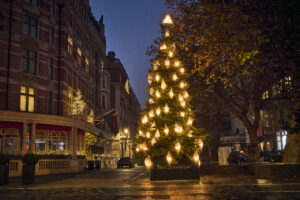 Conrad Shawcross for The Connaught