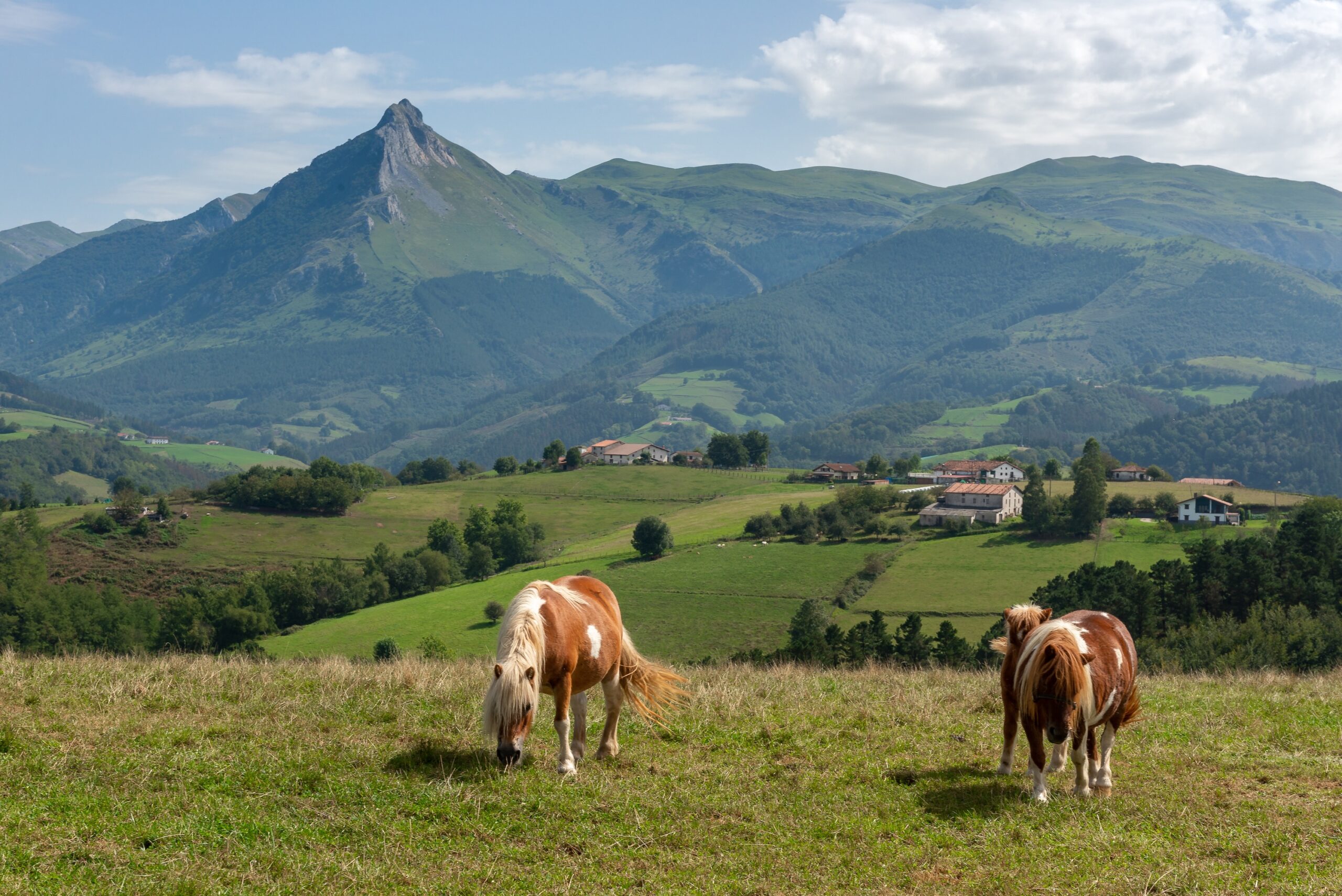 A Guide to Agrotourism in Rural Spain