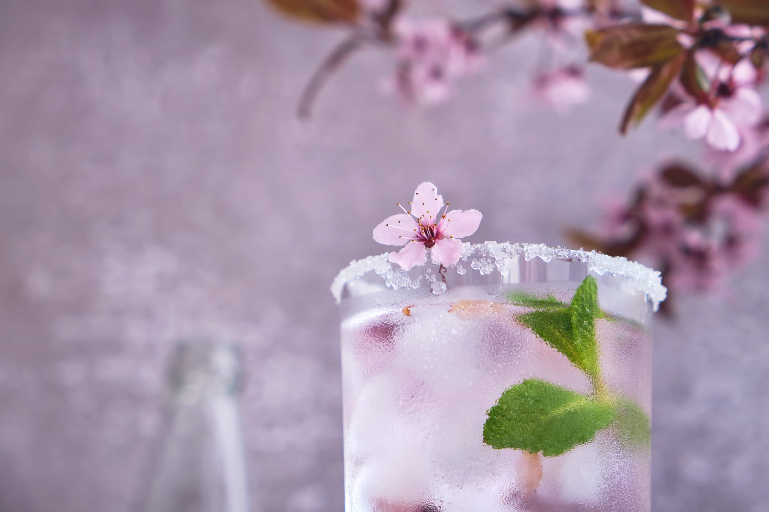 Sakura Season Is Brief – These Are the Drinks to Try While It Lasts